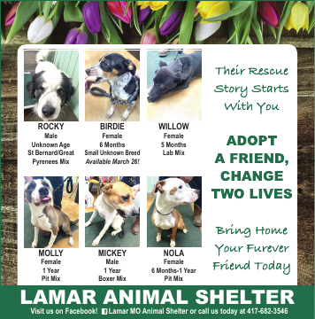 Lamar Animal Shelter