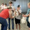 Waylon Nolting exhibits broilers for one final evaluation before being named Grand Champion Pen of Broilers.