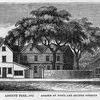 A drawing of the original Liberty Tree in Boston, Mass.